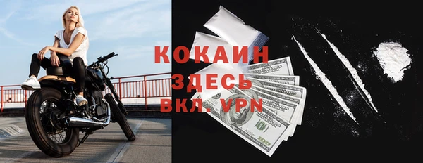 индика Армянск