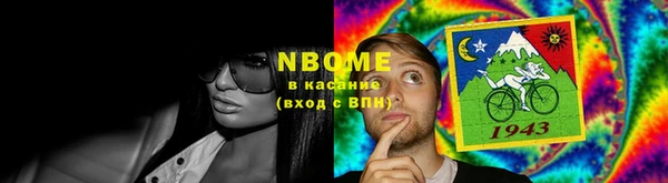 индика Армянск