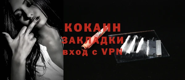 индика Армянск