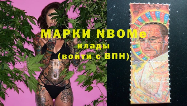 дживик Новозыбков