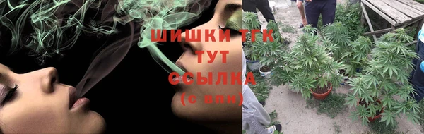 индика Армянск